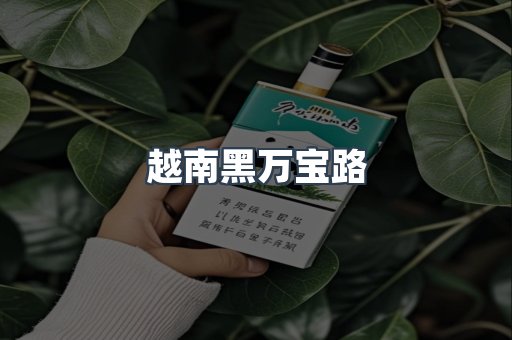 越南黑万宝路